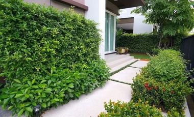 For Rent  Laddarom Bangna