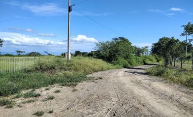 Finca de venta en manta aromo sector la sierrita