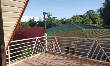 HOUSE AND LOT FOR SALE IN DUMAGUETE CITY ID 14858