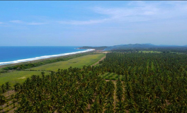 Terreno Frente Al Mar en Playa El Venado Puerto Escondido