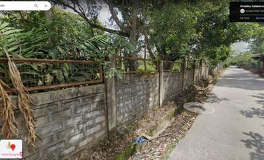 Lot for sale in Amadeo, Cavite