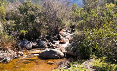 VENDE TERRENO 212 HECTAREAS, RINCONADA IDAHUE, COLTAUCO, VEGETACION, FAUNA, SENDEROS, VERTIENTES, VISTA Y SERVIDUMBRE