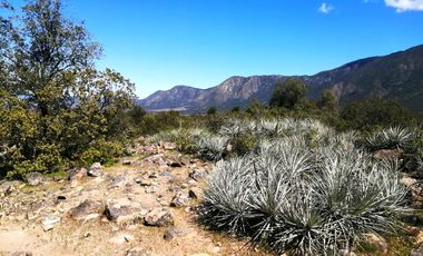 VENDE TERRENO 212 HECTAREAS, RINCONADA IDAHUE, COLTAUCO, VEGETACION, FAUNA, SENDEROS, VERTIENTES, VISTA Y SERVIDUMBRE