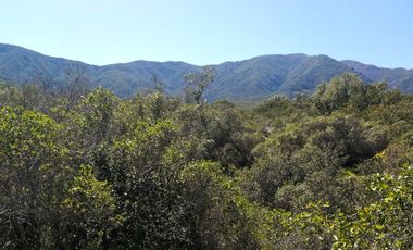 VENDE TERRENO 212 HECTAREAS, RINCONADA IDAHUE, COLTAUCO, VEGETACION, FAUNA, SENDEROS, VERTIENTES, VISTA Y SERVIDUMBRE