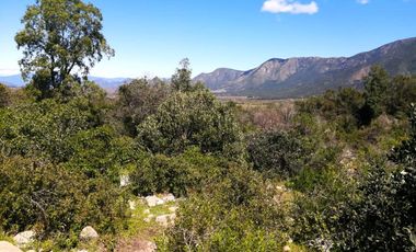 VENDE TERRENO 212 HECTAREAS, RINCONADA IDAHUE, COLTAUCO, VEGETACION, FAUNA, SENDEROS, VERTIENTES, VISTA Y SERVIDUMBRE