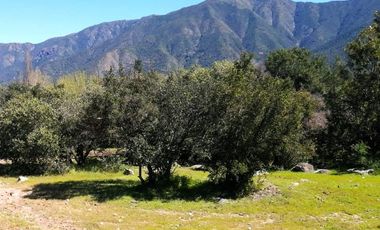 VENDE TERRENO 212 HECTAREAS, RINCONADA IDAHUE, COLTAUCO, VEGETACION, FAUNA, SENDEROS, VERTIENTES, VISTA Y SERVIDUMBRE
