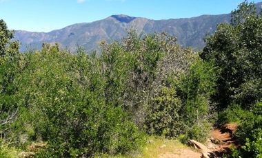 VENDE TERRENO 212 HECTAREAS, RINCONADA IDAHUE, COLTAUCO, VEGETACION, FAUNA, SENDEROS, VERTIENTES, VISTA Y SERVIDUMBRE
