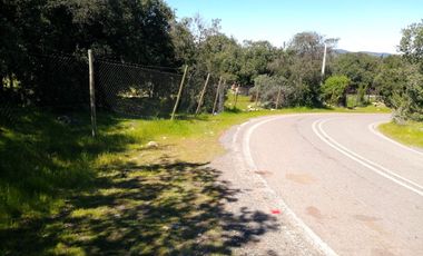 VENDE TERRENO 212 HECTAREAS, RINCONADA IDAHUE, COLTAUCO, VEGETACION, FAUNA, SENDEROS, VERTIENTES, VISTA Y SERVIDUMBRE