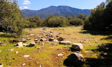 VENDE TERRENO 212 HECTAREAS, RINCONADA IDAHUE, COLTAUCO, VEGETACION, FAUNA, SENDEROS, VERTIENTES, VISTA Y SERVIDUMBRE