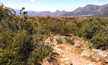 VENDE TERRENO 212 HECTAREAS, RINCONADA IDAHUE, COLTAUCO, VEGETACION, FAUNA, SENDEROS, VERTIENTES, VISTA Y SERVIDUMBRE