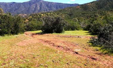 VENDE TERRENO 212 HECTAREAS, RINCONADA IDAHUE, COLTAUCO, VEGETACION, FAUNA, SENDEROS, VERTIENTES, VISTA Y SERVIDUMBRE