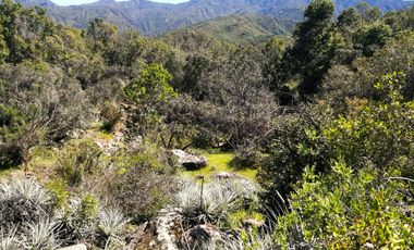 VENDE TERRENO 212 HECTAREAS, RINCONADA IDAHUE, COLTAUCO, VEGETACION, FAUNA, SENDEROS, VERTIENTES, VISTA Y SERVIDUMBRE