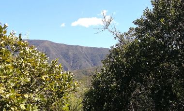 VENDE TERRENO 212 HECTAREAS, RINCONADA IDAHUE, COLTAUCO, VEGETACION, FAUNA, SENDEROS, VERTIENTES, VISTA Y SERVIDUMBRE