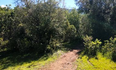 VENDE TERRENO 212 HECTAREAS, RINCONADA IDAHUE, COLTAUCO, VEGETACION, FAUNA, SENDEROS, VERTIENTES, VISTA Y SERVIDUMBRE