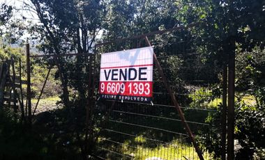 VENDE TERRENO 212 HECTAREAS, RINCONADA IDAHUE, COLTAUCO, VEGETACION, FAUNA, SENDEROS, VERTIENTES, VISTA Y SERVIDUMBRE
