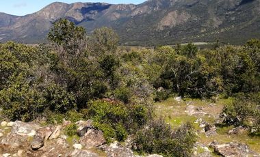 VENDE TERRENO 212 HECTAREAS, RINCONADA IDAHUE, COLTAUCO, VEGETACION, FAUNA, SENDEROS, VERTIENTES, VISTA Y SERVIDUMBRE