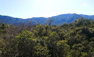 VENDE TERRENO 212 HECTAREAS, RINCONADA IDAHUE, COLTAUCO, VEGETACION, FAUNA, SENDEROS, VERTIENTES, VISTA Y SERVIDUMBRE