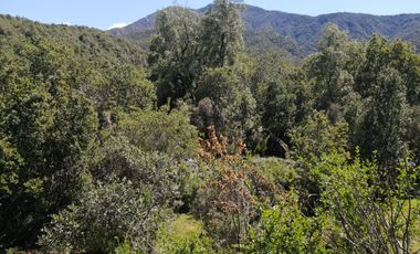 VENDE TERRENO 212 HECTAREAS, RINCONADA IDAHUE, COLTAUCO, VEGETACION, FAUNA, SENDEROS, VERTIENTES, VISTA Y SERVIDUMBRE