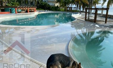 Renta de Departamento Amueblado en La Riviera Maya en Puerto Morelos