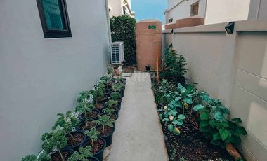 House for rent and sale : Britania Bangna km.26