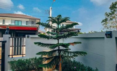 House for rent and sale : Britania Bangna km.26
