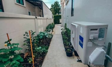 House for rent and sale : Britania Bangna km.26