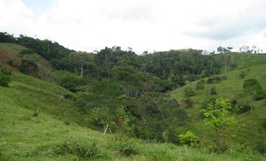 Venta Finca Ganadera en Caracolí Antioquia