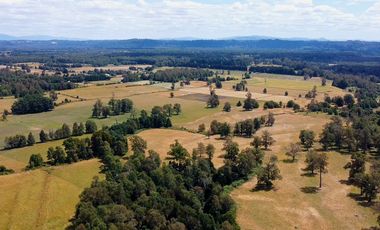 Campo en venta en Villarrica - Fundo Loncovaca 585 hectáreas - Región de la Araucanía