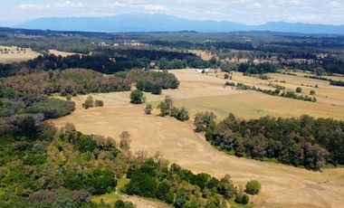 Campo en venta en Villarrica - Fundo Loncovaca 585 hectáreas - Región de la Araucanía