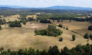 Campo en venta en Villarrica - Fundo Loncovaca 585 hectáreas - Región de la Araucanía