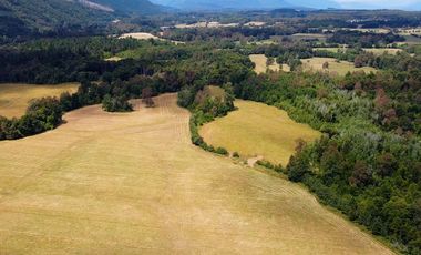 Campo en venta en Villarrica - Fundo Loncovaca 585 hectáreas - Región de la Araucanía