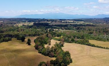 Campo en venta en Villarrica - Fundo Loncovaca 585 hectáreas - Región de la Araucanía