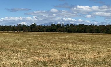 Campo en venta en Villarrica - Fundo Loncovaca 585 hectáreas - Región de la Araucanía
