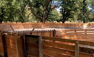 Campo en venta en Villarrica - Fundo Loncovaca 585 hectáreas - Región de la Araucanía