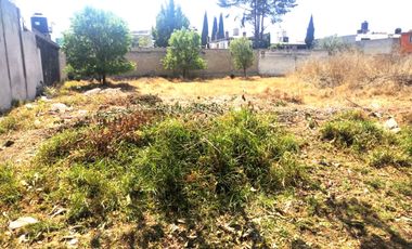 Vendo Terreno 300 M2 en San Blas Otzacatipan, Toluca, Estado de México, a pie de calle