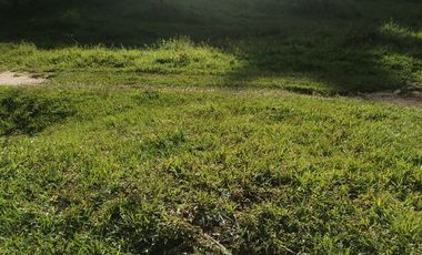 Venta Finca Agrícola y Ganadera San Roque Antioquia