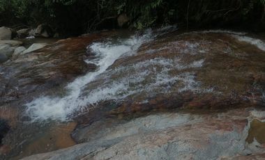 Venta Finca Agrícola y Ganadera San Roque Antioquia