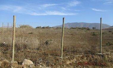 Parcela 5000mts2 sector el Rosario con luz y agua