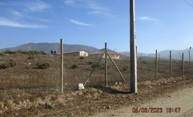 Parcela 5000mts2 sector el Rosario con luz y agua