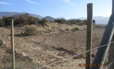 Parcela 5000mts2 sector el Rosario con luz y agua