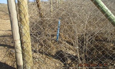 Parcela 5000mts2 sector el Rosario con luz y agua