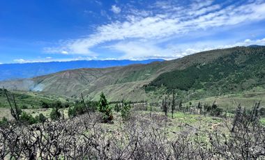 Finca ganadera en venta en Quilanga