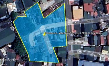 POBLACION MANDALUYONG CITY, RESIDENTIAL LOT FOR SALE @ 3,075 SQ.M