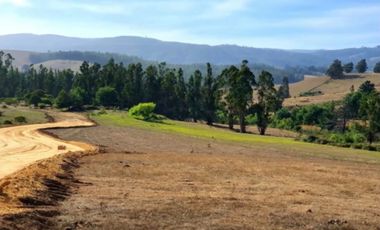 VENTA PARCELA, LOTE, TERRENO, LA AGUADA DE BUCALEMU, CAHUIL, PAREDONES, PICHILEMU