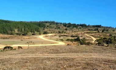 VENTA PARCELA, LOTE, TERRENO, LA AGUADA DE BUCALEMU, CAHUIL, PAREDONES, PICHILEMU