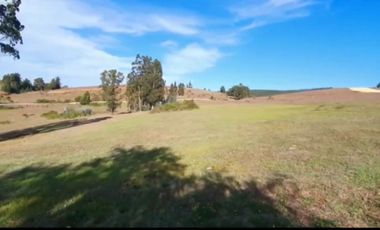 VENTA PARCELA, LOTE, TERRENO, LA AGUADA DE BUCALEMU, CAHUIL, PAREDONES, PICHILEMU
