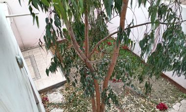 VENTA DE CASA, 226 M2, 4 DORMITORIOS, JARDIN, 2 PISOS + AZOTEA, 3 BAÑOS