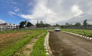 Lots in Brighton Bacolod by Robinsons, Villa Lucasan Road