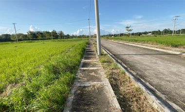 Lots in Brighton Bacolod by Robinsons, Villa Lucasan Road