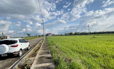 Lots in Brighton Bacolod by Robinsons, Villa Lucasan Road